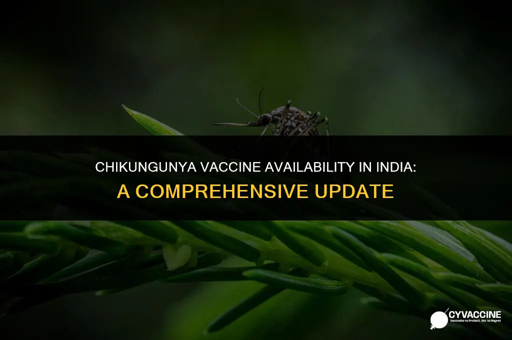 is chikungunya vaccine available in india