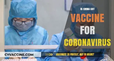 China's COVID-19 Vaccine: A Breakthrough or a Myth?