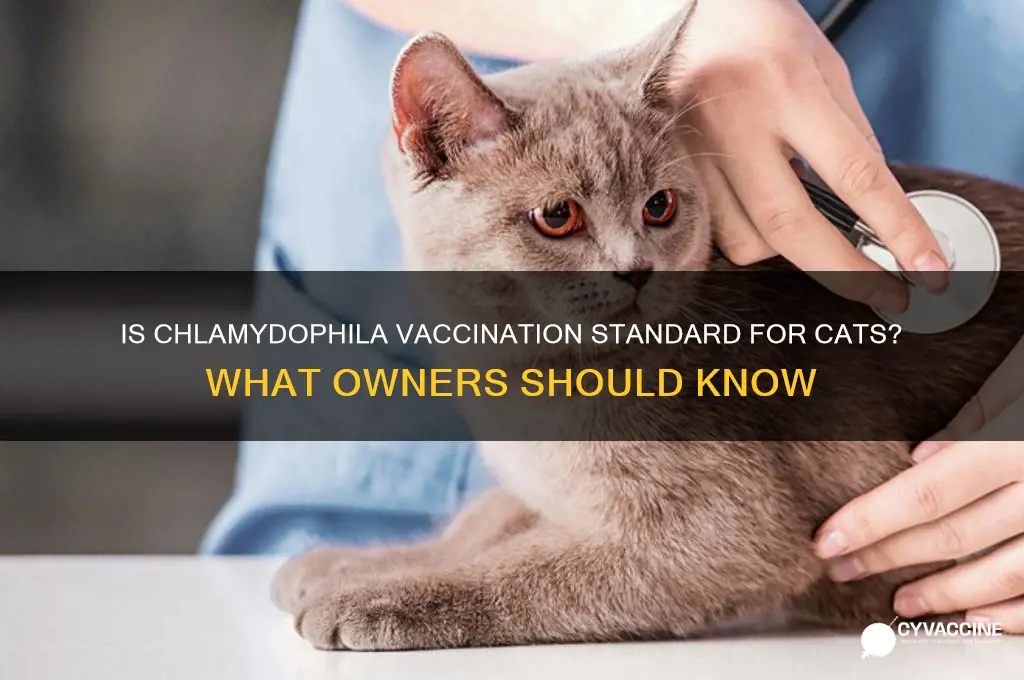 is chlamyclophila vaccination a usual standard for cats