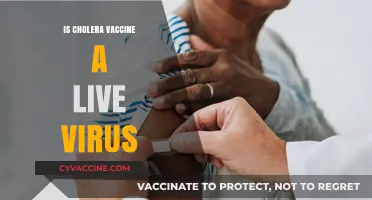 Unraveling the Myths: Cholera Vaccine and Live Virus
