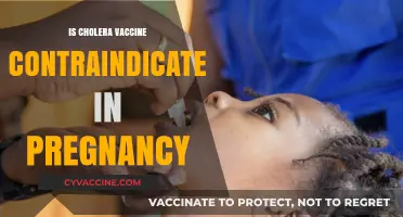 Cholera Vaccine Safety: What Expectant Mothers Need to Know