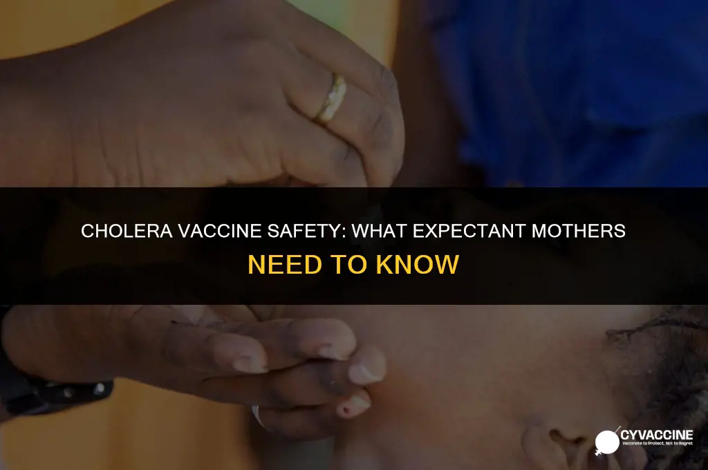 is cholera vaccine contraindicated in pregnancy