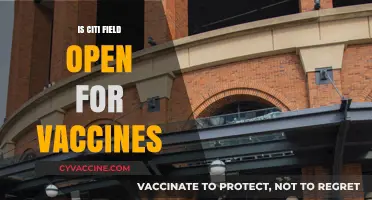 Citi Field Vaccine Hub: Open for Inoculations