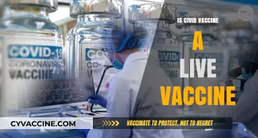 Understanding COVID-19 Vaccines: Are They Live or Inactivated?