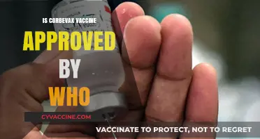 WHO Approval Status of Corbevax Vaccine: Latest Updates