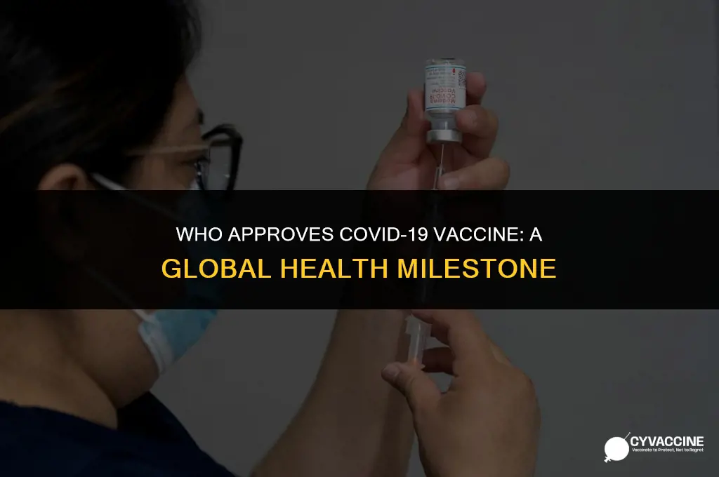 is corona vaccine approved by who