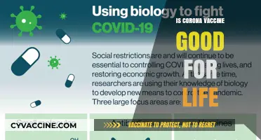 Boosting Immunity for Life: The Long-Term Benefits of Corona Vaccination