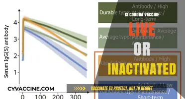 Understanding COVID-19 Vaccines: Live vs. Inactivated