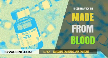 Unraveling Myths: The Truth About COVID-19 Vaccine Ingredients