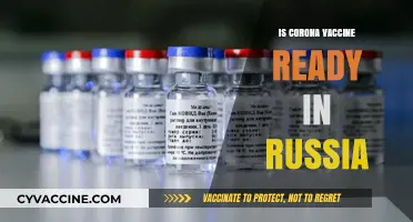 Russia's COVID-19 Vaccine: Current Status and Global Implications