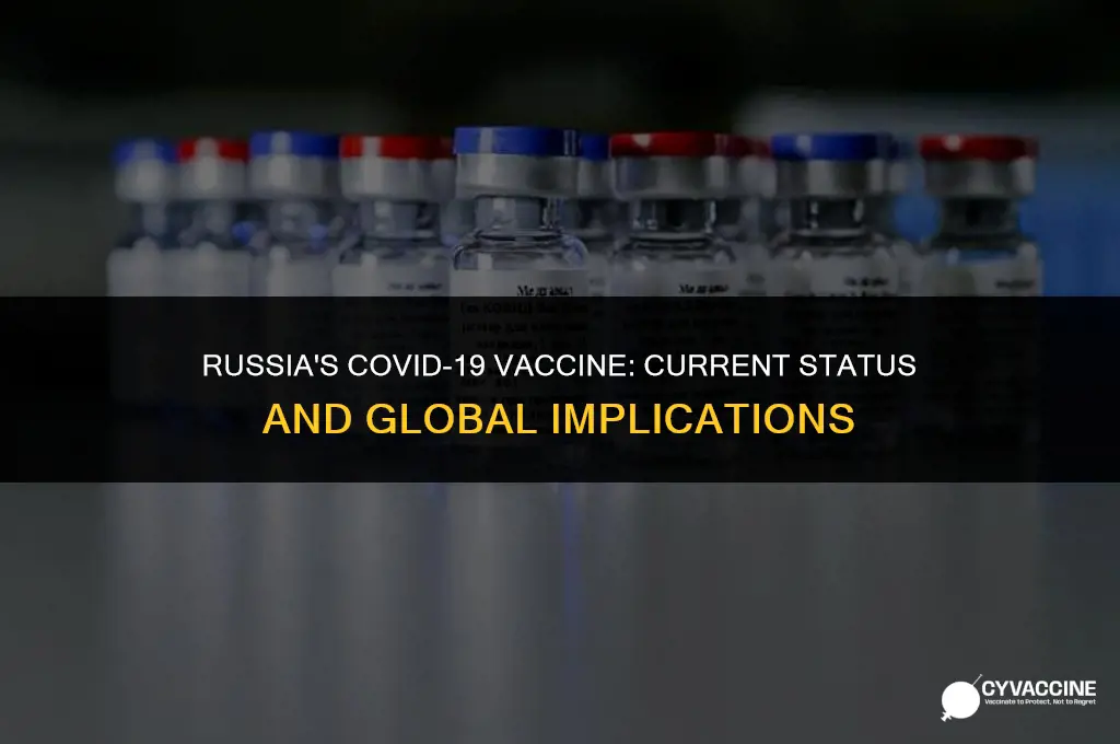 is corona vaccine ready in russia
