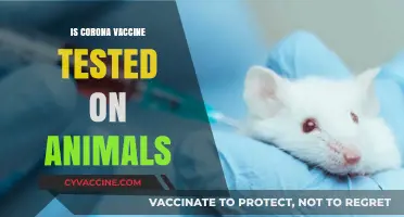 Exploring the Ethics: Animal Testing in COVID-19 Vaccine Development