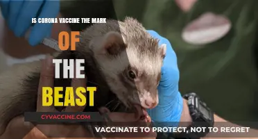 Corona Vaccine and the Mark of the Beast: Separating Fact from Fiction