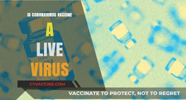 Debunking Myths: The Truth About COVID-19 Vaccine Ingredients