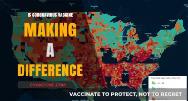 Combatting COVID-19: The Impact of Vaccination Efforts