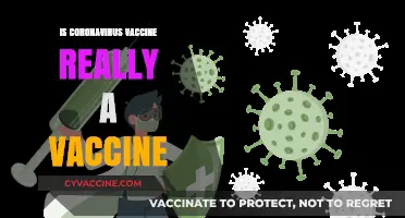 Decoding the Coronavirus Vaccine: Myth vs. Reality