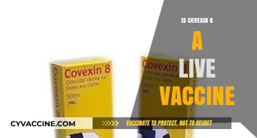 Understanding Covexin 8: Is It a Live Vaccine?