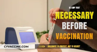 Exploring the Necessity of CRP Tests Before Vaccination: A Comprehensive Guide