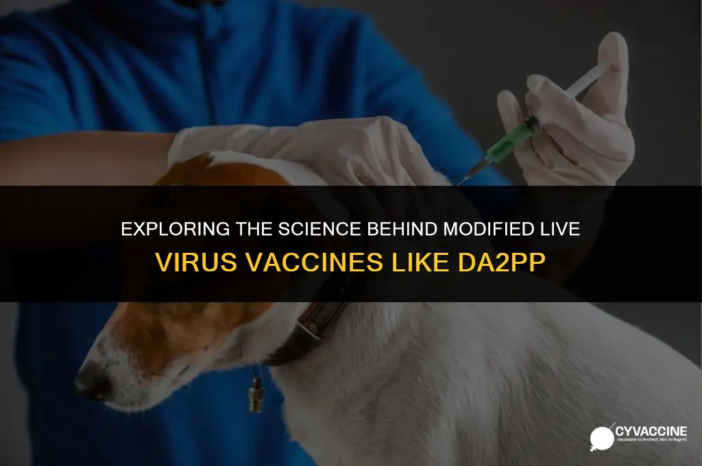 is da2pp modified live virus vaccine