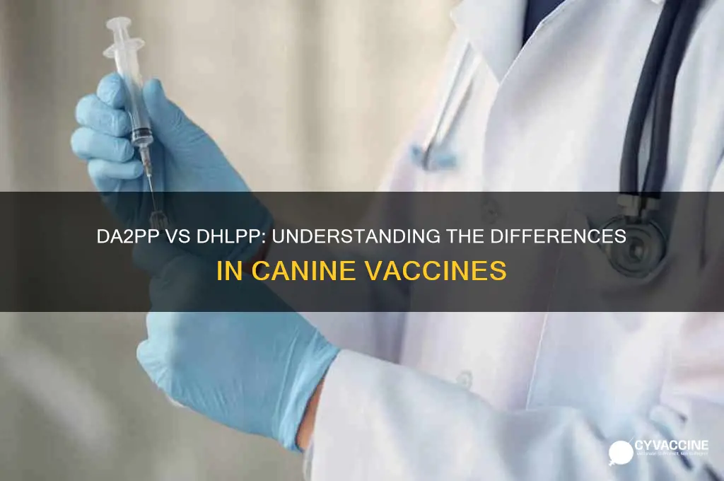is da2pp vaccine the same as dhlpp vaccine