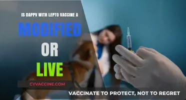 Dappv Lepto Vaccine: Modified or Live? Understanding the Difference