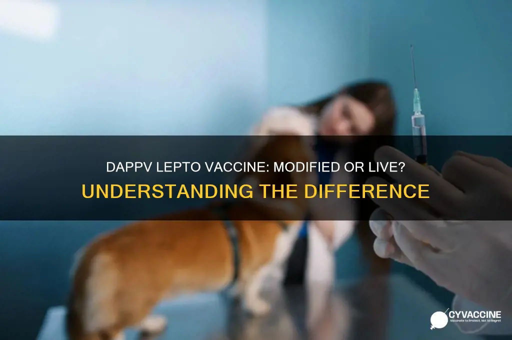 is dappv with lepto vaccine a modified or live