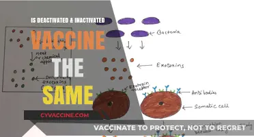 Understanding Vaccine Status: Deactivated vs. Inactivated