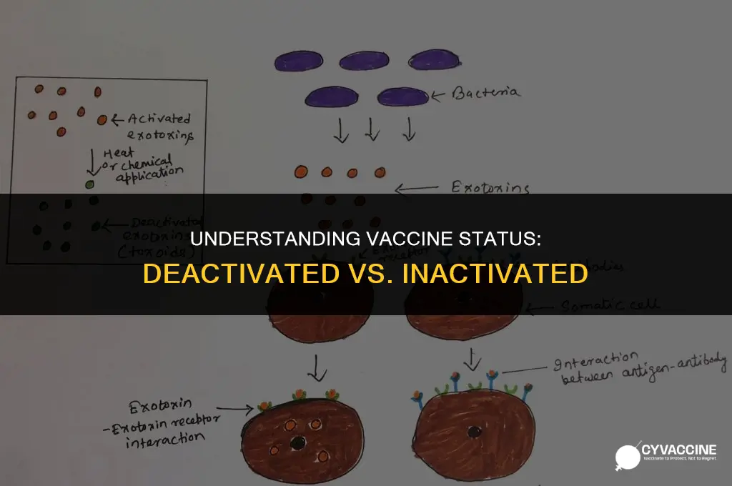 is deactivated & inactivated vaccine the same