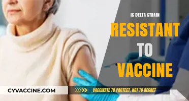 Exploring the Efficacy of Vaccines Against the Delta Strain