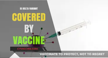 Vaccine Efficacy Against the Delta Variant: What You Need to Know