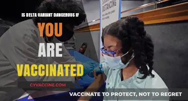 Delta Variant Risks: Are Vaccinated Individuals Still Vulnerable?