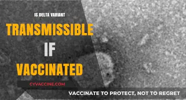 Vaccinated Against COVID-19: Are You Still at Risk from the Delta Variant?