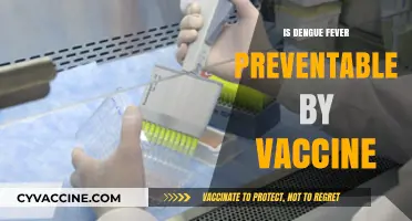 Combatting Dengue Fever: The Quest for Effective Vaccination
