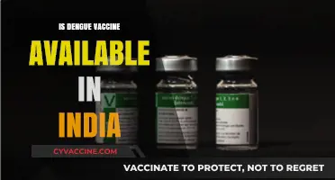 Dengue Vaccine Availability in India: A Comprehensive Update
