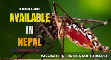 Dengue Vaccine Availability in Nepal: A Comprehensive Update