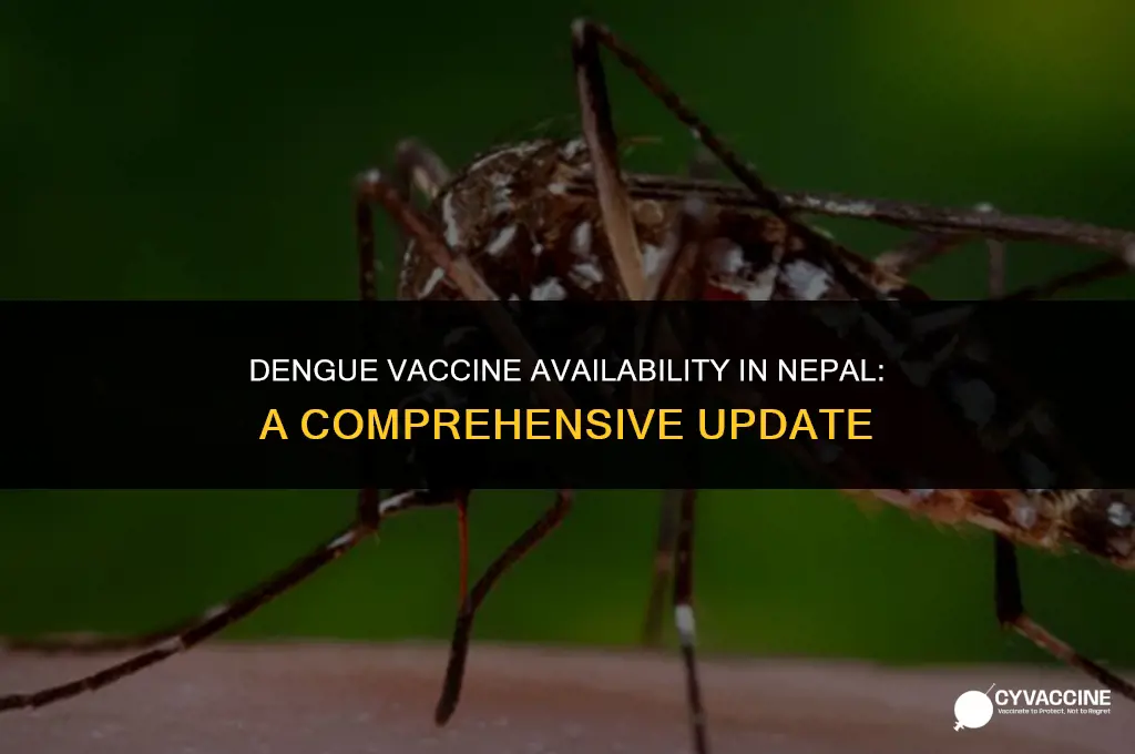 is dengue vaccine available in nepal