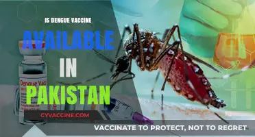 Combatting Dengue: The Quest for Vaccination in Pakistan