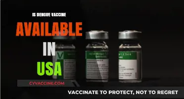 Dengue Vaccine Availability in the USA: What You Need to Know