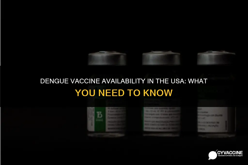 is dengue vaccine available in usa