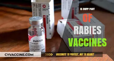 Understanding Rabies Vaccines: The Role of DHPP Explained