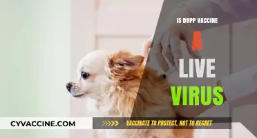 Understanding the DHPP Vaccine: Live Virus or Not?