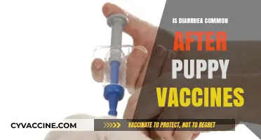 Understanding Post-Vaccination Diarrhea in Puppies: Causes and Remedies