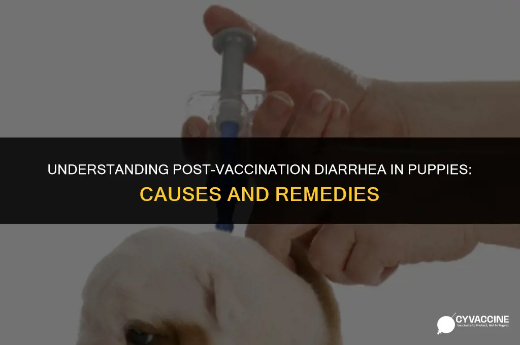 is diarrhea common after puppy vaccines