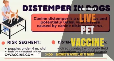 Understanding Distemper: The Importance of Live Pet Vaccines