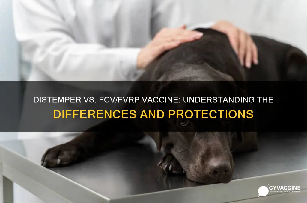 is distemper the same as the fcvrp vaccine