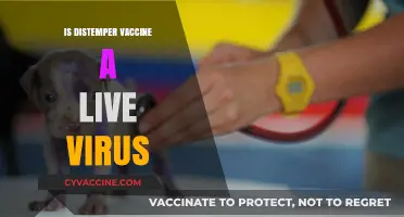 Understanding Distemper Vaccines: Live Virus or Not?