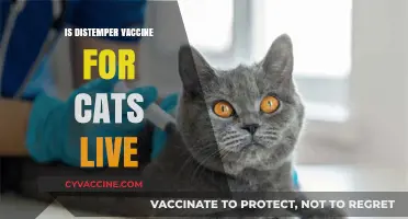 Understanding Feline Distemper: Is the Vaccine Live or Inactivated?