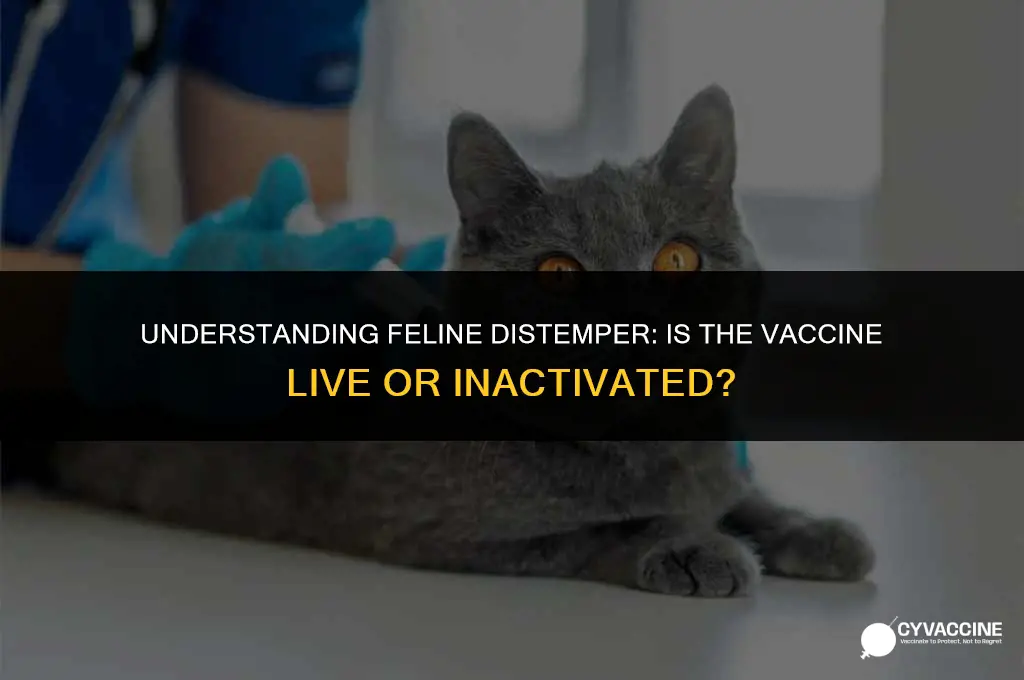 is distemper vaccine for cats live