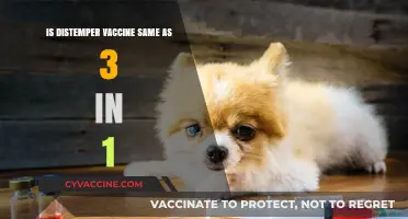 Distemper Vaccine vs. 3-in-1: Understanding the Key Differences