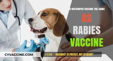 Distemper vs. Rabies Vaccine: Understanding the Key Differences